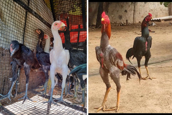 Как бы ты высоко ни забрался, помни, с кем ты поднимался. Ауф.