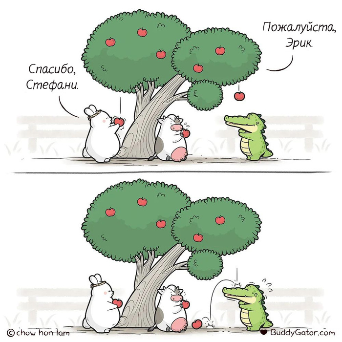  ,  , , , Buddygator