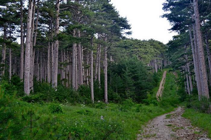 ������ �� ������� ������. 