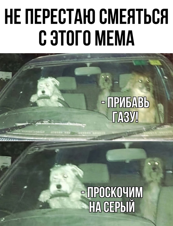 ��� �������