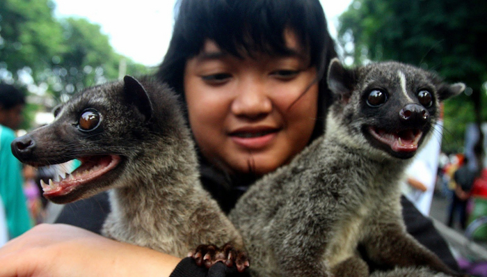 ,    ,     .    ,         .