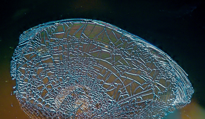 ����� ������ ��������� ( 39 000 000 ���)