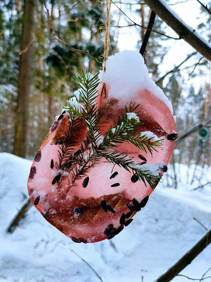 Ice bird feeder - My, Trough, Mobile photography, Winter, Nature, Crafts, Beautiful view