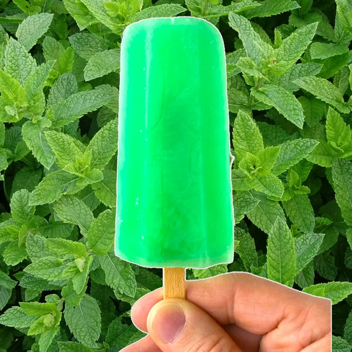 What do you think about people who eat peppermint popsicles? - Translation, Reddit, Reddit (link), Ice cream, Longpost