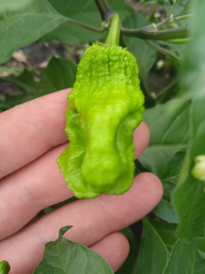     ,  , , , 
