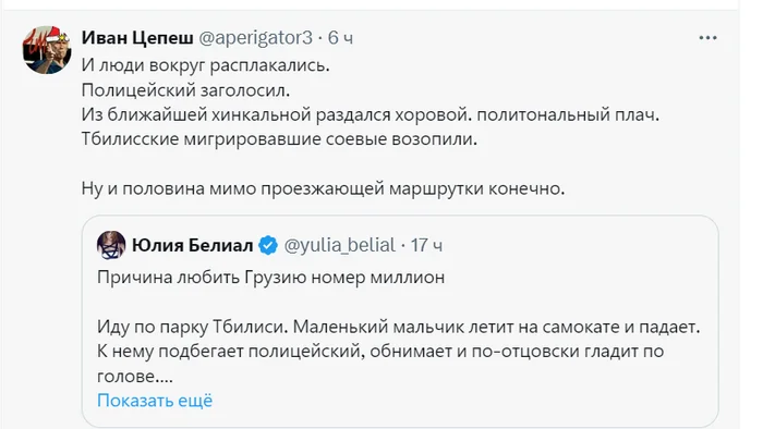 Аж газыри от умиления намокли - Забавное, Юмор, Скриншот, Картинка с текстом, Грузия, Twitter