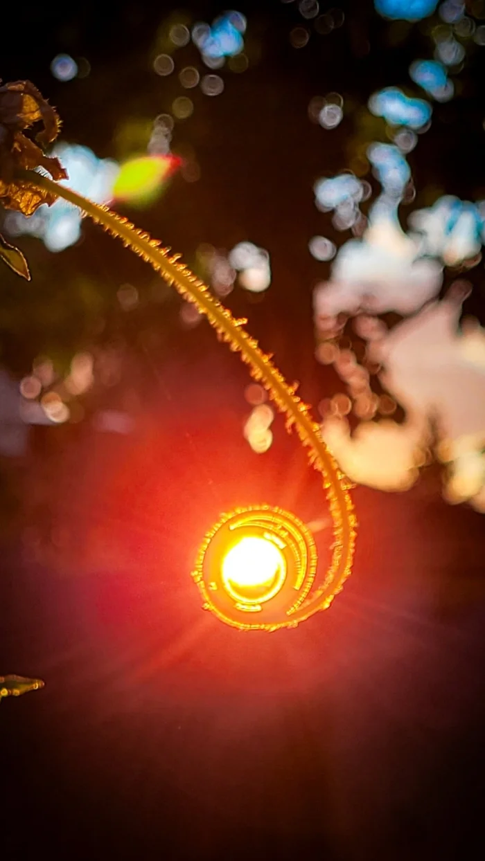 Suncatcher - My, The photo, Macro photography, Frame, beauty, The sun, In time