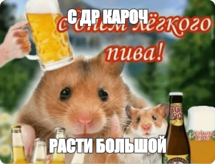 С ДР кароч - День рождения Пикабу, Мемы, Генератор мемов, Картинка с текстом
