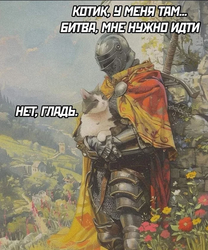 And it's always like this - cat, Humor, Knights, Picture with text