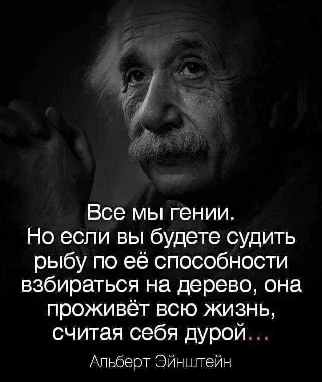 “We are all geniuses. But if you judge a fish by its ability to climb a tree, then it will live its whole life thinking that it is a fool.” - Humor, Picture with text, Quotes, Wisdom, Genius, Albert Einstein, Philosophy