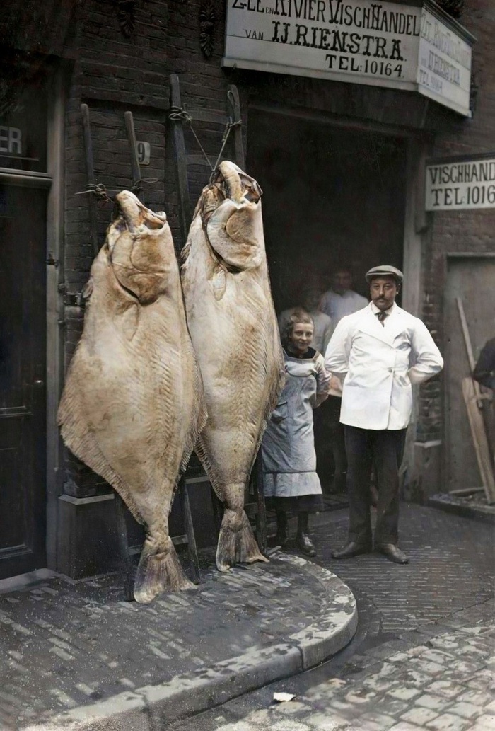 Осколки истории : Интересные и редкие ретро-фотографии Европы. 20 раскрашенных фотографий ХХ века. Часть Историческое фото, Старое фото, Колоризация, Фотография, Франция, Нидерланды (Голландия), Ирландия, Австрия, Англия, Италия, Норвегия, Польша, Длиннопост