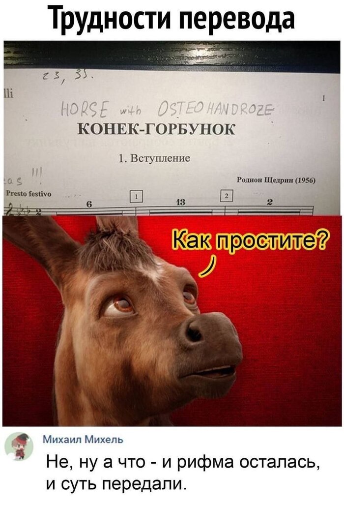 �����-��������