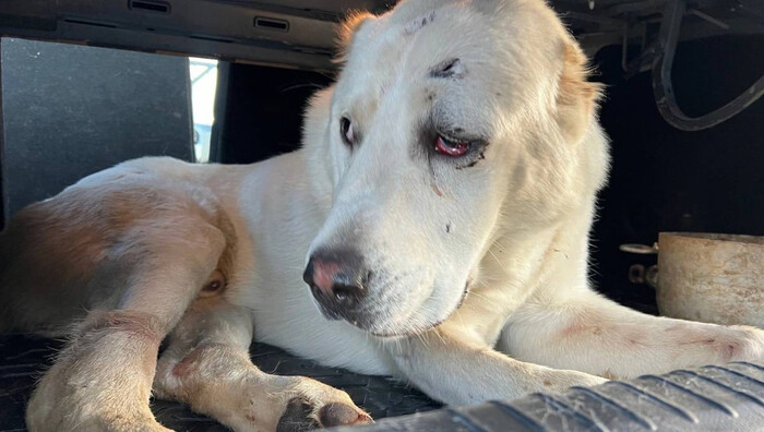 Фото: ТИА новости