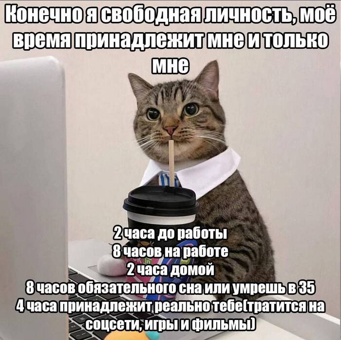   ,   , ,  , , , Telegram ()