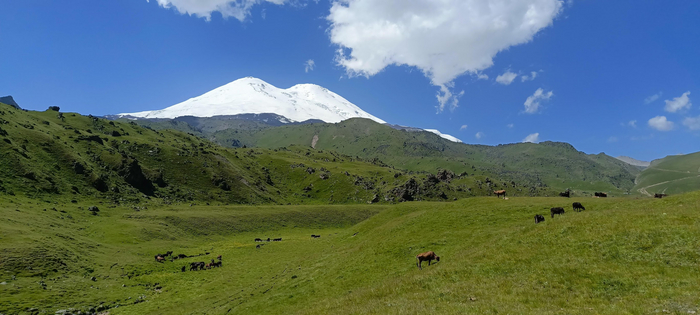   [<!--noindex--><a href="https://pikabu.ru/story/otvet_na_post_samyie_krasivyie_dorogi_rossii_11702700?u=https%3A%2F%2Fwww.google.com%2Fmaps%3Fq%3Dloc%253A43.4320335%252C42.5239143&t=https%3A%2F%2Fwww.google.com%2Fmaps%3Fq%3Dloc%253A43.4320335%252C42.5239143&h=bd369a8bc96957edede8adb4e13313df16d14b4f" title="https://www.google.com/maps?q=loc%3A43.4320335%2C42.5239143" target="_blank" rel="nofollow noopener">https://www.google.com/maps?q=loc%3A43.4320335%2C42.5239143</a><!--/noindex-->]