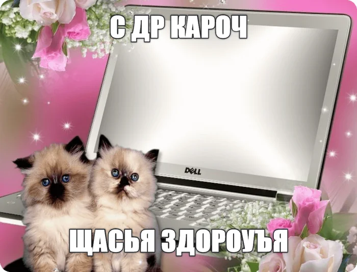 С ДР кароч - День рождения Пикабу, Мемы, Генератор мемов