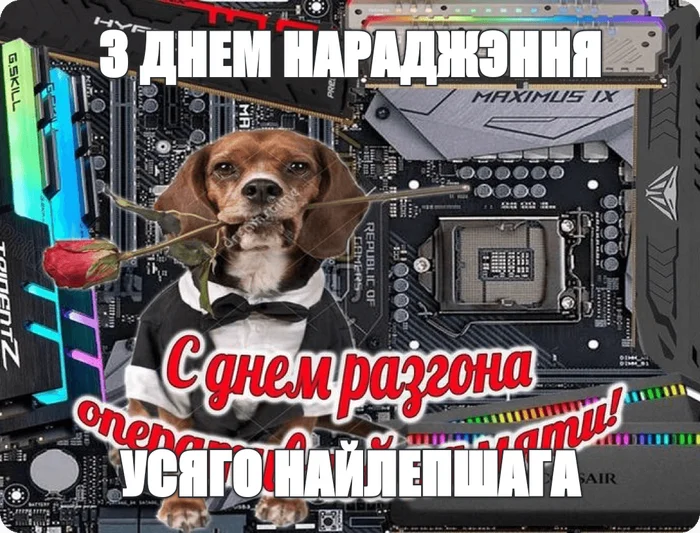 With DR in a nutshell - Birthday Picabu, Memes, meme generator