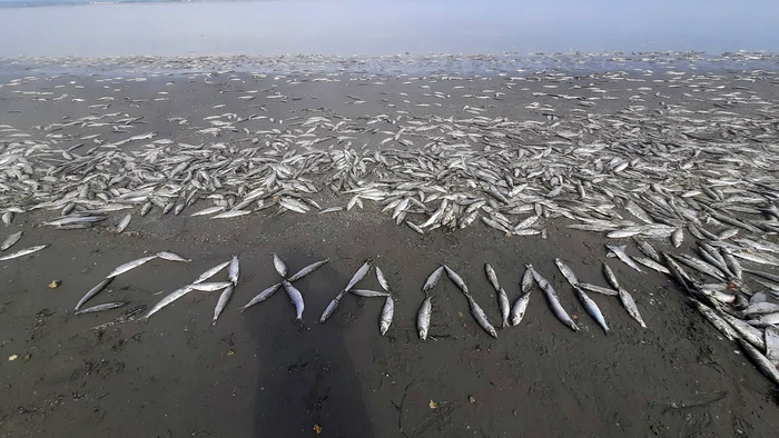 Если нет, вот вам маленькая подсказочка.