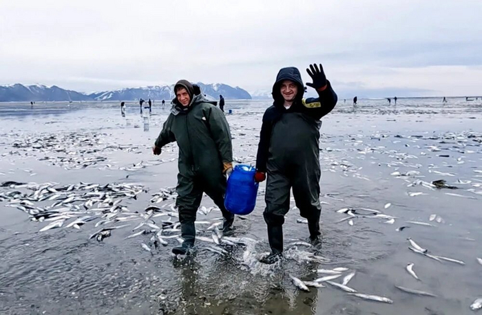 Вот у кого сегодня с закуской проблем не будет.