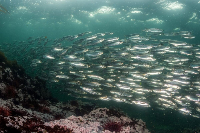 Погнали, ребята уже билеты забронировали, нельзя опаздывать!