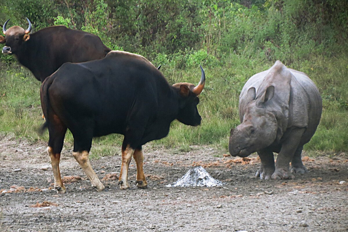 Ну что, выйдешь со мной раз на раз?