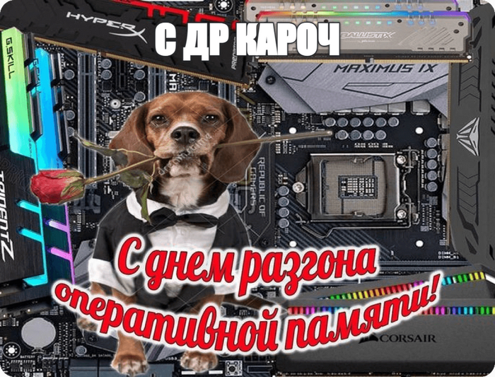 С ДР кароч