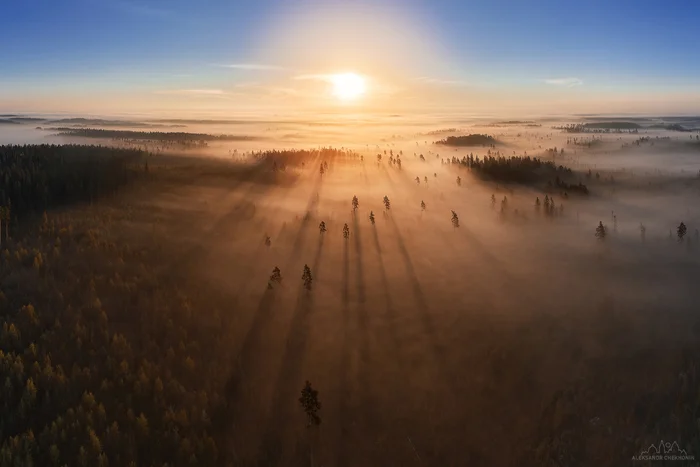 Dawn at Lake Ladoga - My, The photo, Morning, dawn, The sun, Sunrises and sunsets, Fog, Sunrise, Forest