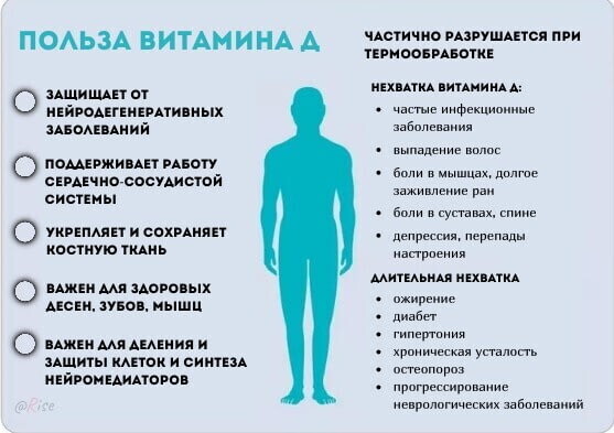 Витамин Д - почему так важен для организма? - Исследования, Мозг, Здоровье, ЗОЖ, Витамин D, Длиннопост