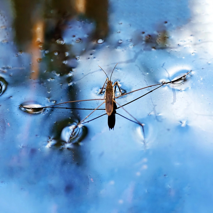 Ну вот, а вы говорили, физика в жизни не пригодится!