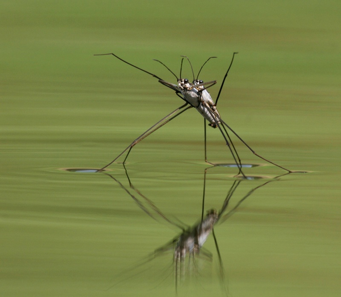 *играет музыка из Титаника*