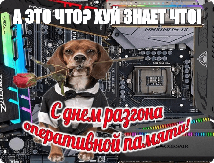 С ДР кароч