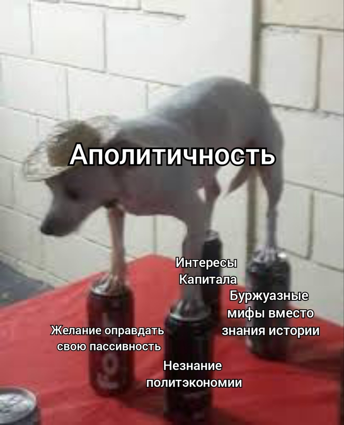 Аполитичность