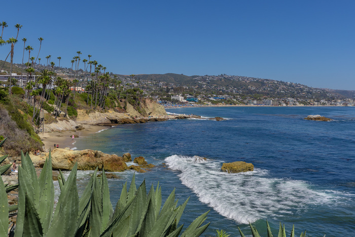    canon r6II + ef 24-70II f/2.8 