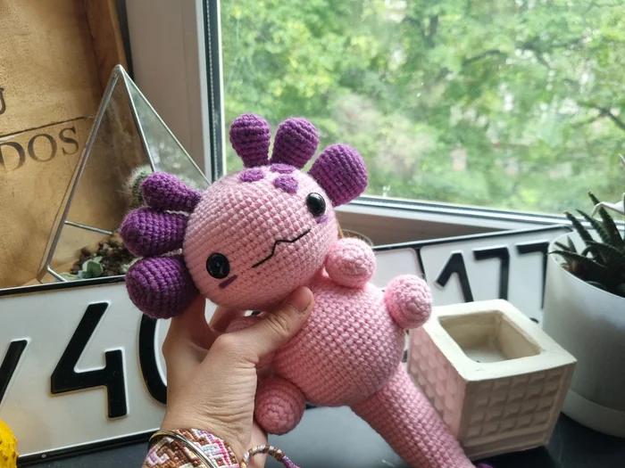 Knitted Axolotl - My, Knitting, Crochet, Knitted toys, With your own hands, Amigurumi, Axolotl, Handmade, Toys, Author's toy, Creation, Needlework, Needlework without process, Presents, Children, Soft toy, Longpost