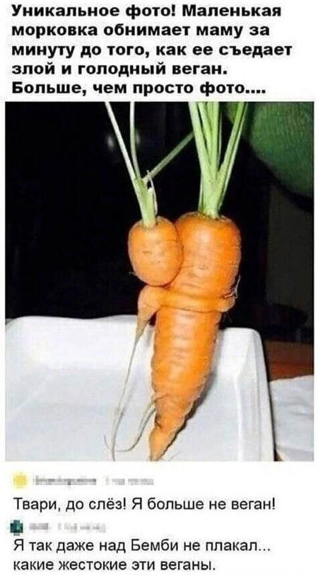 Vegans, stop! - Humor, Vegetarianism, Carrot, Picture with text