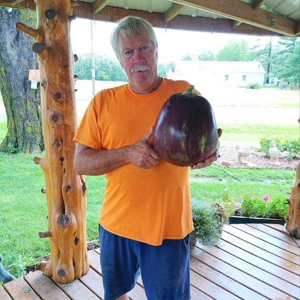 The world's largest eggplant was grown by an enthusiast from the USA - Eggplant, Vegetables, Record, Guinness Book of Records, Plants, The largest in the world, Market gardener, Esculent, Iowa, USA