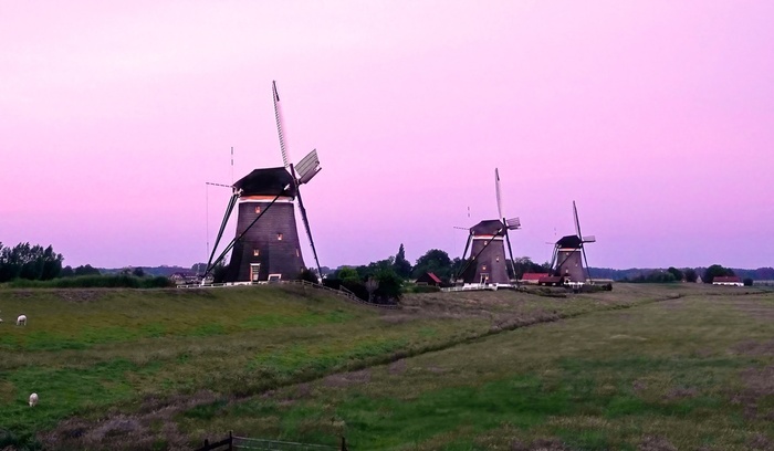 Близ голландского города Ляйдсхендам