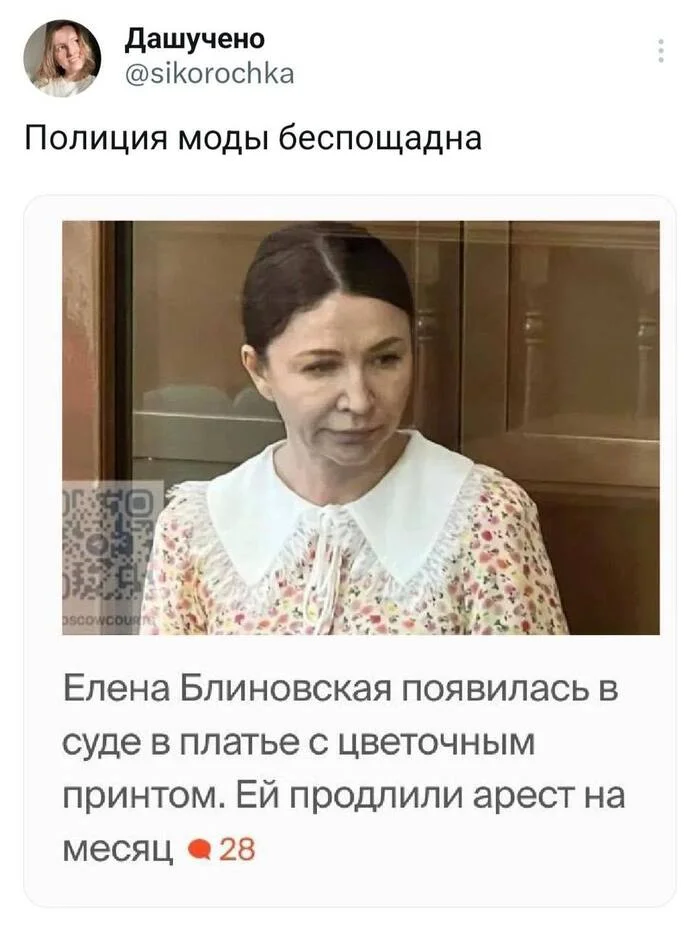 It is in vain that they say that taste in clothes is not important - Elena Blinovskaya, Style, Court, Humor, Twitter, Screenshot