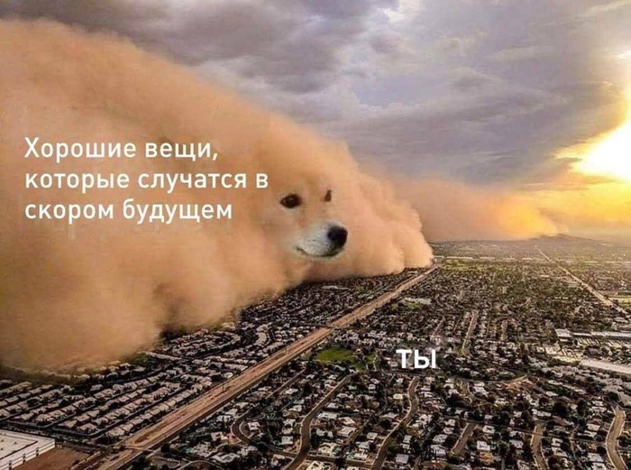  ,   , , Doge, , Telegram ()