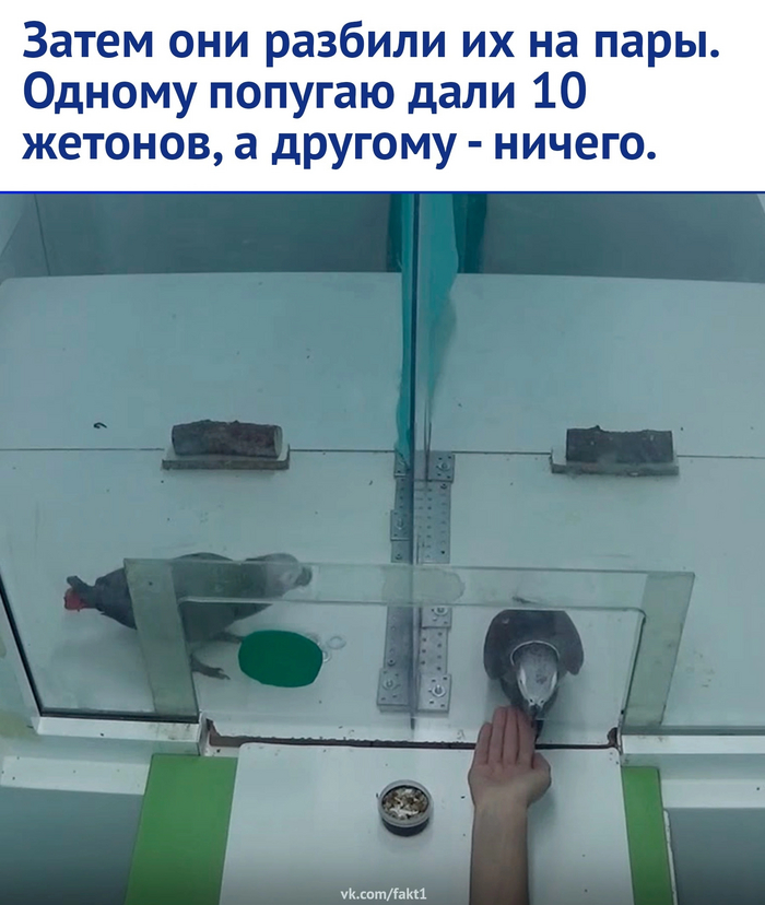    , ,   , , , , , 