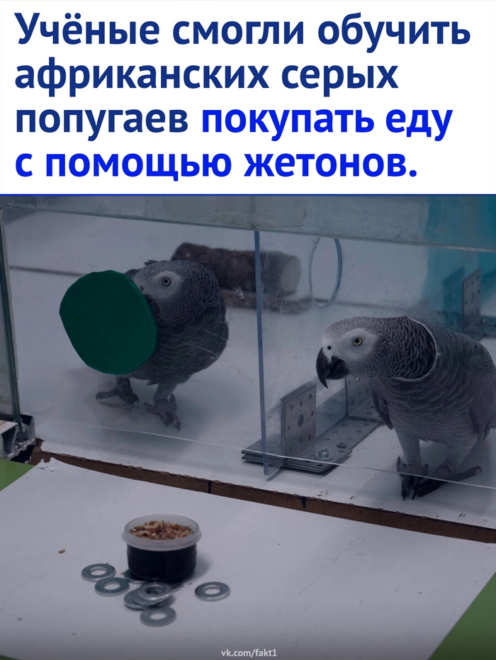    , ,   , , , , , 