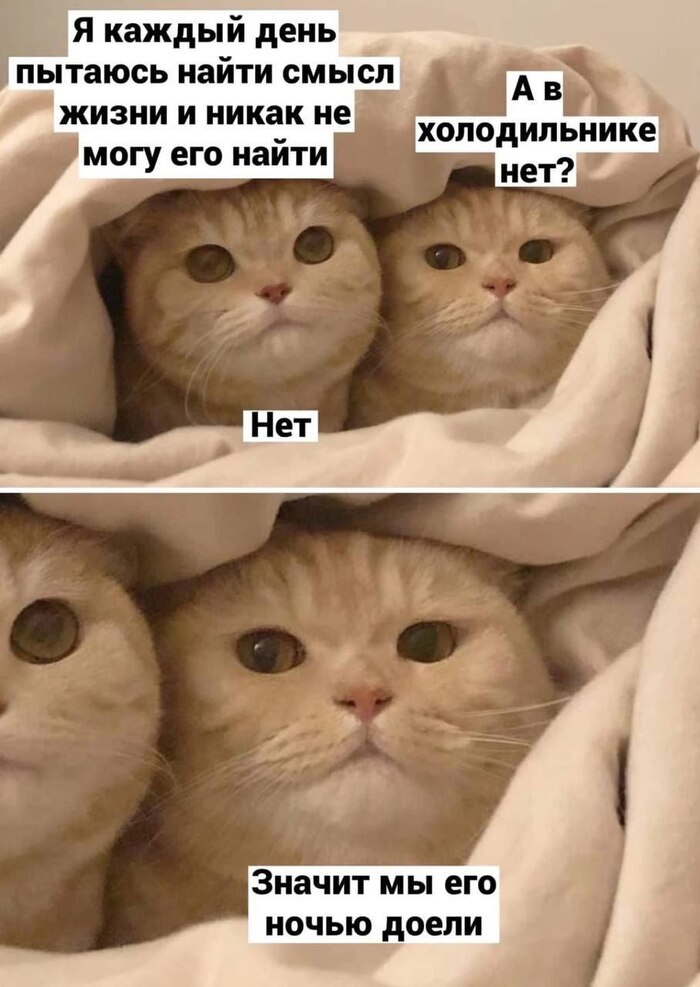 ������� ����������