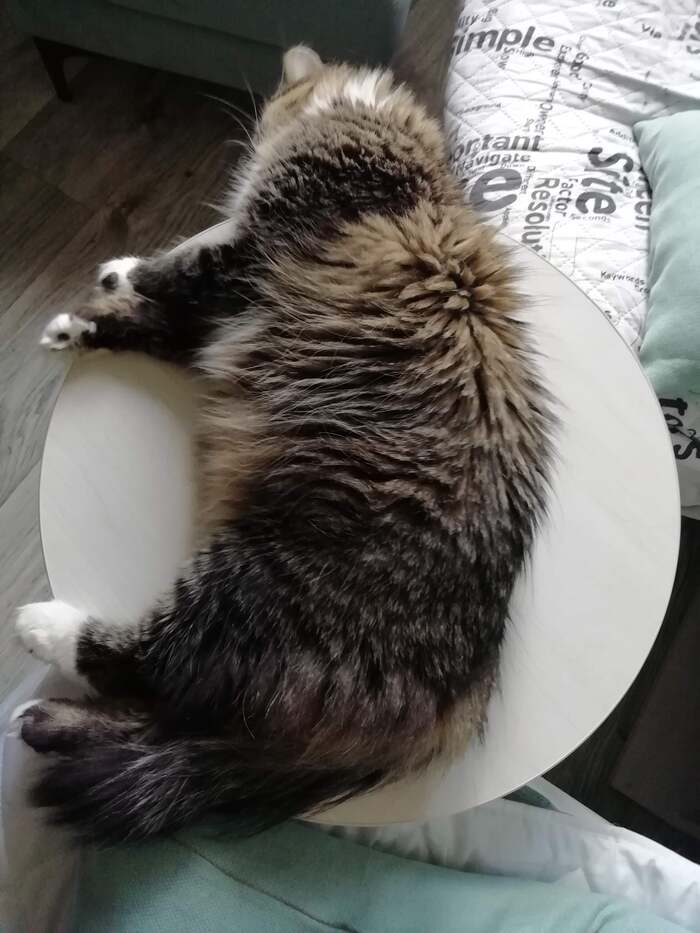      , , ,  