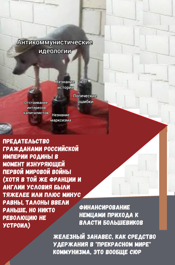 ����� �� ���� ��������������