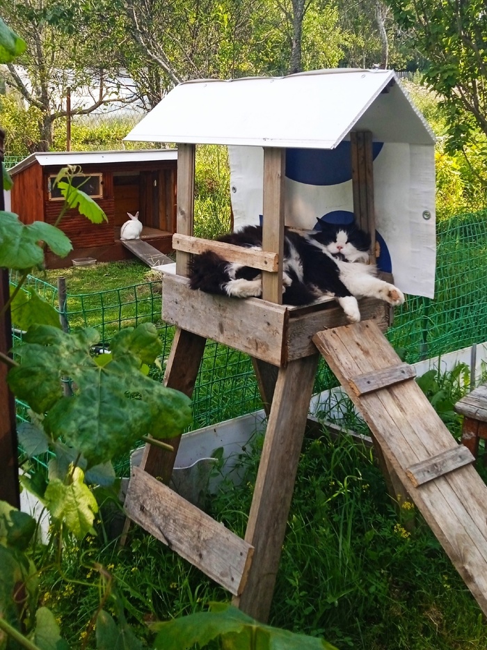 Солдат спит служба идёт