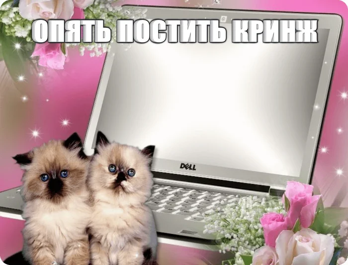 С ДР кароч - День рождения Пикабу, Мемы, Генератор мемов, Картинка с текстом