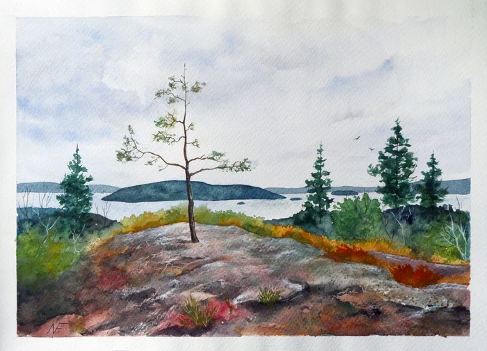 New watercolor work - My, Traditional art, Artist, Modern Art, Painting, Painting, Watercolor, Pastel pencils, Paper, Author's painting, Landscape, Карелия, Ladoga