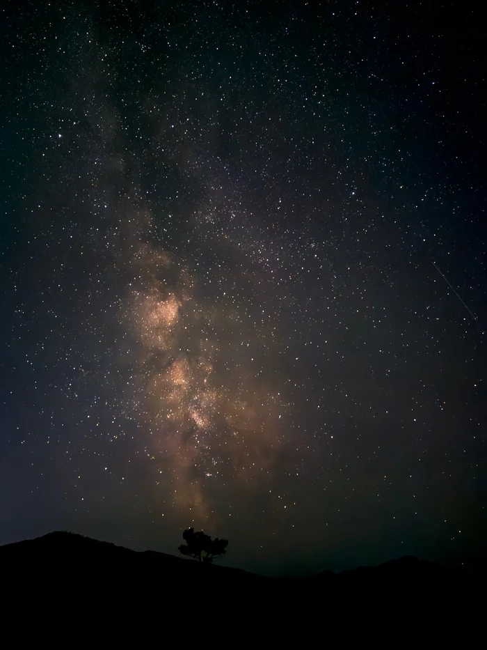 Lonely tree - My, Mobile photography, The photo, Night, Starry sky, Stars, Milky Way, Tree, Landscape, Buryatia, Perseids