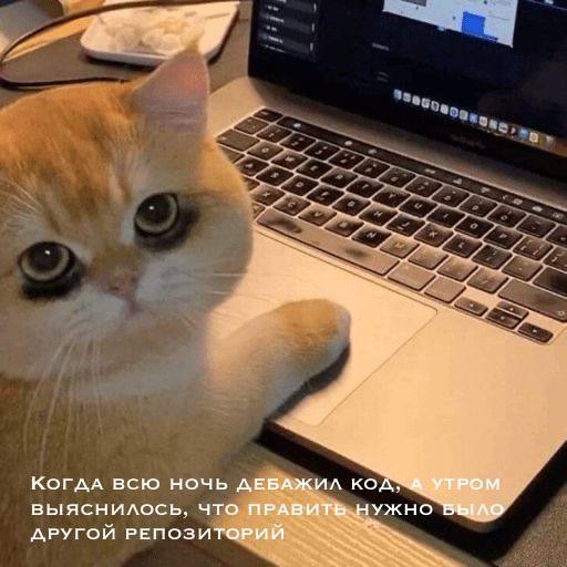 ��� ���� � ����, ����� � � ����