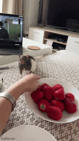   , , , 